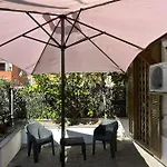 Lemon Tree House